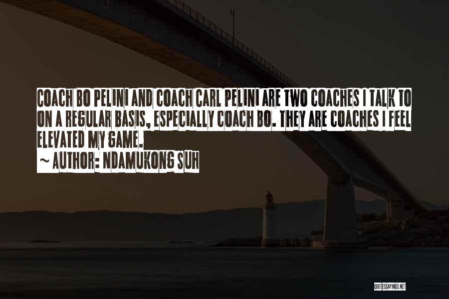 Ndamukong Suh Quotes: Coach Bo Pelini And Coach Carl Pelini Are Two Coaches I Talk To On A Regular Basis, Especially Coach Bo.