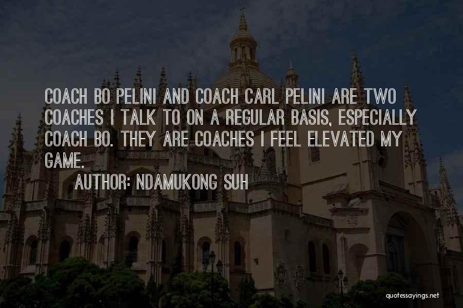 Ndamukong Suh Quotes: Coach Bo Pelini And Coach Carl Pelini Are Two Coaches I Talk To On A Regular Basis, Especially Coach Bo.