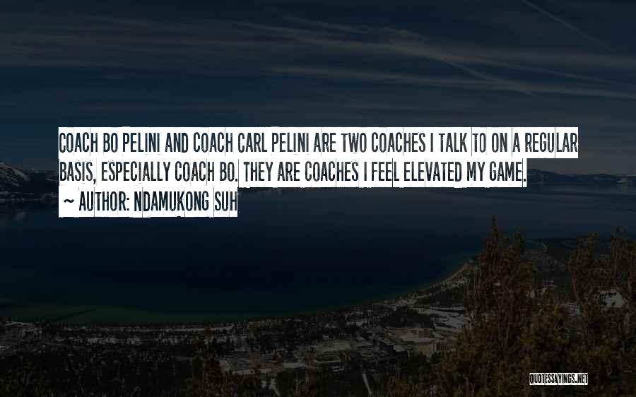 Ndamukong Suh Quotes: Coach Bo Pelini And Coach Carl Pelini Are Two Coaches I Talk To On A Regular Basis, Especially Coach Bo.