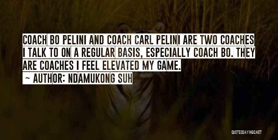 Ndamukong Suh Quotes: Coach Bo Pelini And Coach Carl Pelini Are Two Coaches I Talk To On A Regular Basis, Especially Coach Bo.