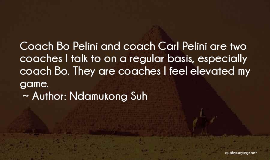 Ndamukong Suh Quotes: Coach Bo Pelini And Coach Carl Pelini Are Two Coaches I Talk To On A Regular Basis, Especially Coach Bo.
