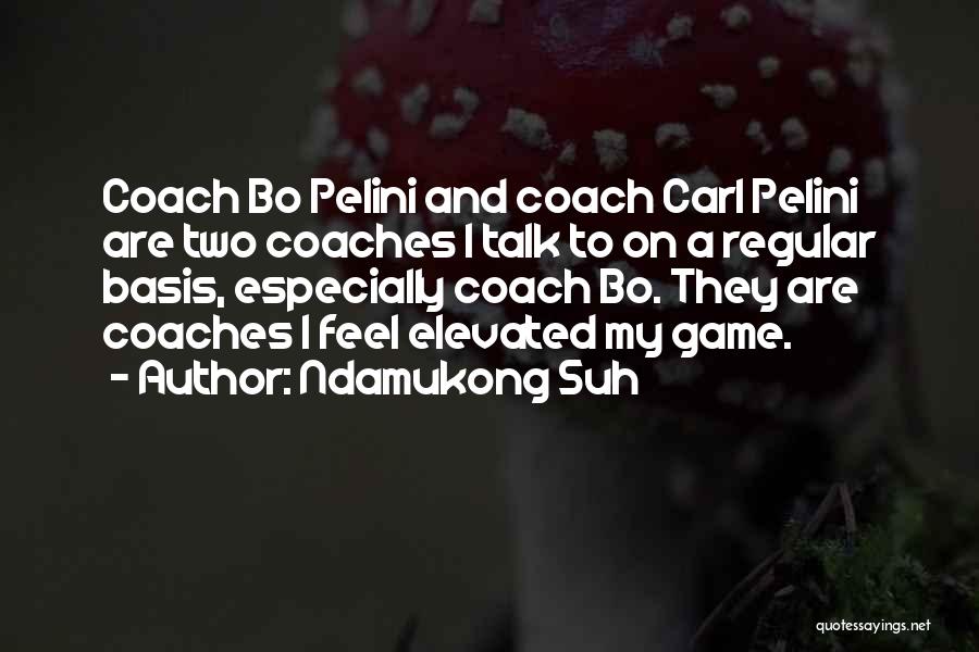 Ndamukong Suh Quotes: Coach Bo Pelini And Coach Carl Pelini Are Two Coaches I Talk To On A Regular Basis, Especially Coach Bo.