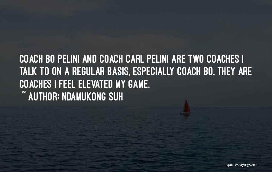 Ndamukong Suh Quotes: Coach Bo Pelini And Coach Carl Pelini Are Two Coaches I Talk To On A Regular Basis, Especially Coach Bo.