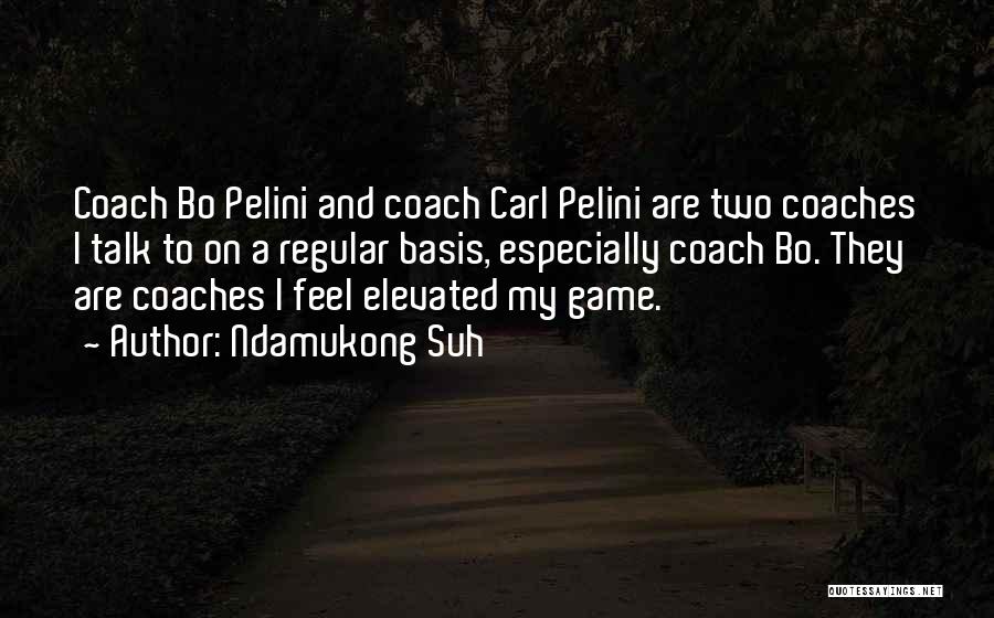 Ndamukong Suh Quotes: Coach Bo Pelini And Coach Carl Pelini Are Two Coaches I Talk To On A Regular Basis, Especially Coach Bo.