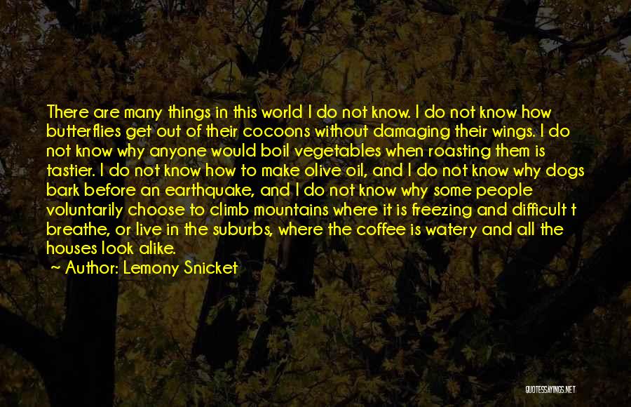 Lemony Snicket Quotes: There Are Many Things In This World I Do Not Know. I Do Not Know How Butterflies Get Out Of