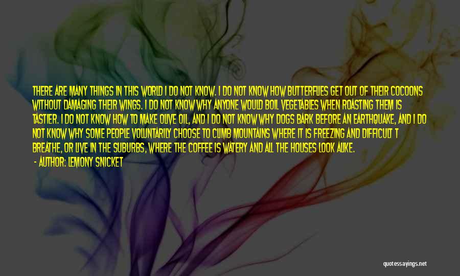 Lemony Snicket Quotes: There Are Many Things In This World I Do Not Know. I Do Not Know How Butterflies Get Out Of