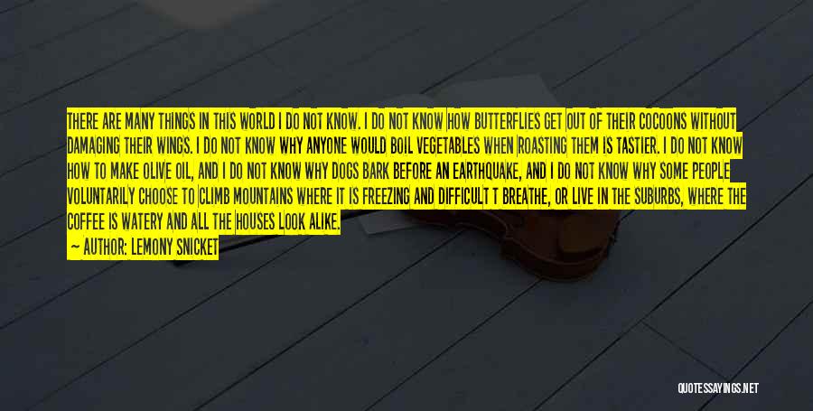 Lemony Snicket Quotes: There Are Many Things In This World I Do Not Know. I Do Not Know How Butterflies Get Out Of