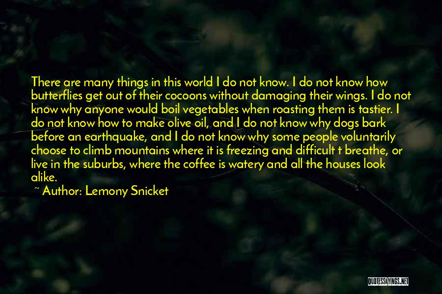 Lemony Snicket Quotes: There Are Many Things In This World I Do Not Know. I Do Not Know How Butterflies Get Out Of