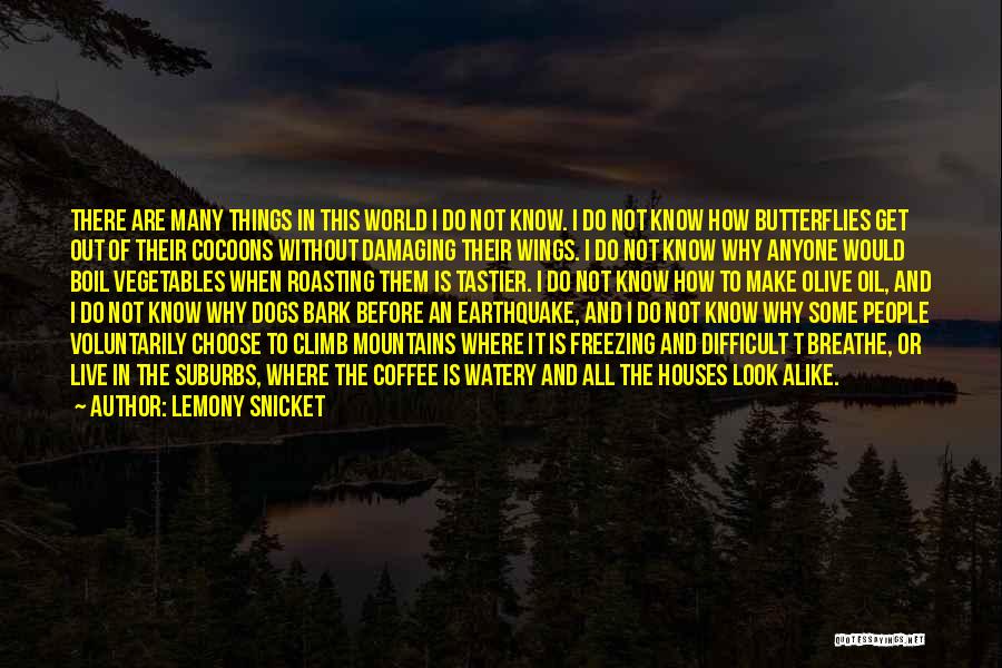 Lemony Snicket Quotes: There Are Many Things In This World I Do Not Know. I Do Not Know How Butterflies Get Out Of