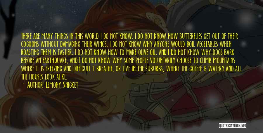 Lemony Snicket Quotes: There Are Many Things In This World I Do Not Know. I Do Not Know How Butterflies Get Out Of