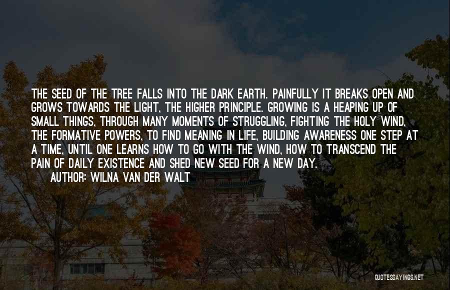 Wilna Van Der Walt Quotes: The Seed Of The Tree Falls Into The Dark Earth. Painfully It Breaks Open And Grows Towards The Light, The