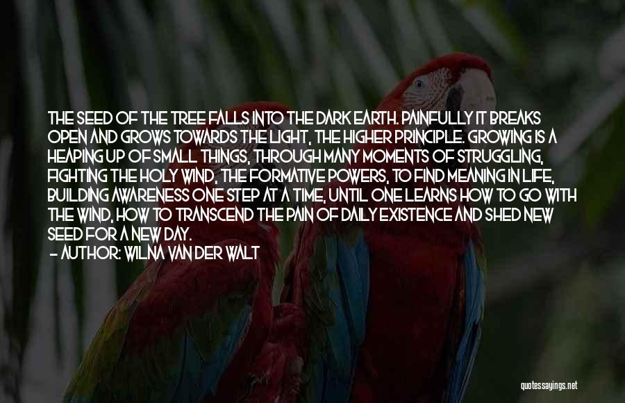 Wilna Van Der Walt Quotes: The Seed Of The Tree Falls Into The Dark Earth. Painfully It Breaks Open And Grows Towards The Light, The