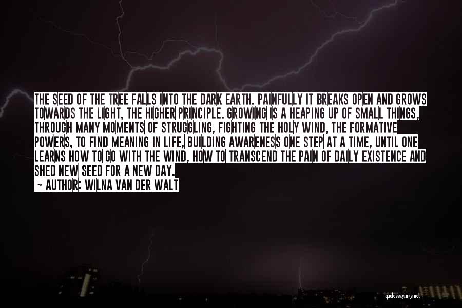 Wilna Van Der Walt Quotes: The Seed Of The Tree Falls Into The Dark Earth. Painfully It Breaks Open And Grows Towards The Light, The