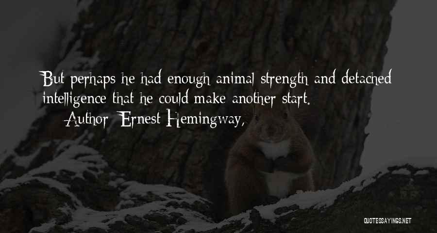 Ernest Hemingway, Quotes: But Perhaps He Had Enough Animal Strength And Detached Intelligence That He Could Make Another Start.