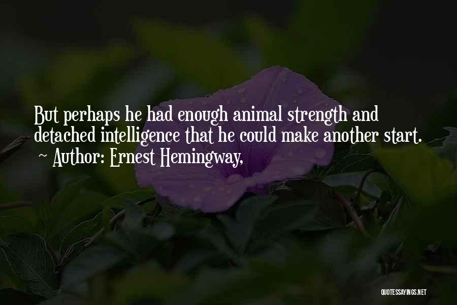 Ernest Hemingway, Quotes: But Perhaps He Had Enough Animal Strength And Detached Intelligence That He Could Make Another Start.