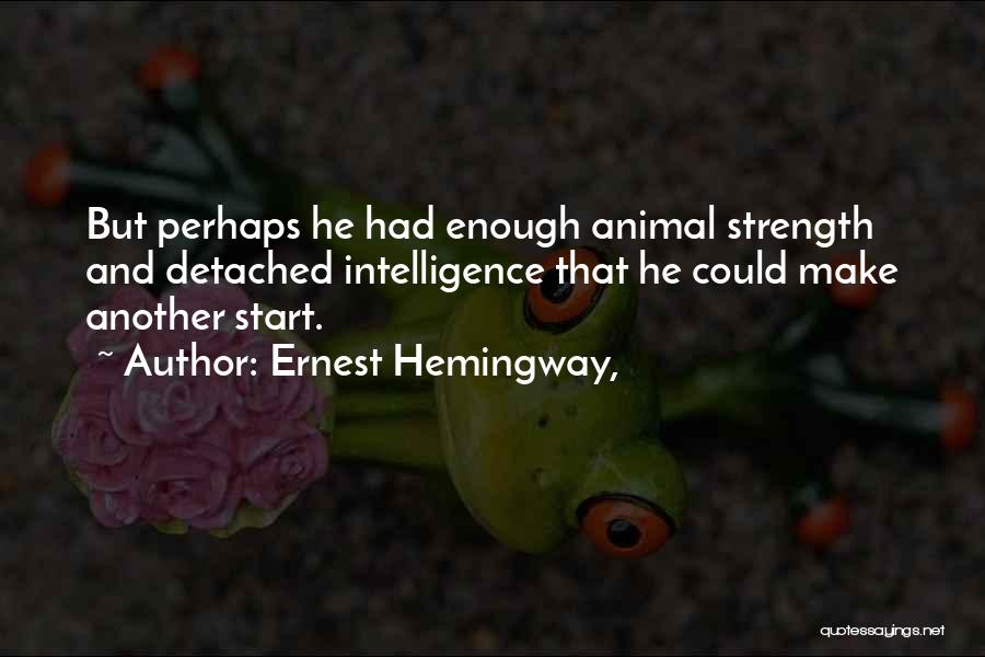 Ernest Hemingway, Quotes: But Perhaps He Had Enough Animal Strength And Detached Intelligence That He Could Make Another Start.