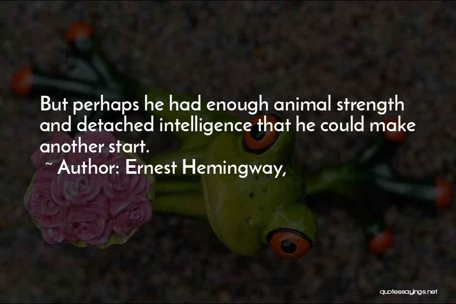 Ernest Hemingway, Quotes: But Perhaps He Had Enough Animal Strength And Detached Intelligence That He Could Make Another Start.