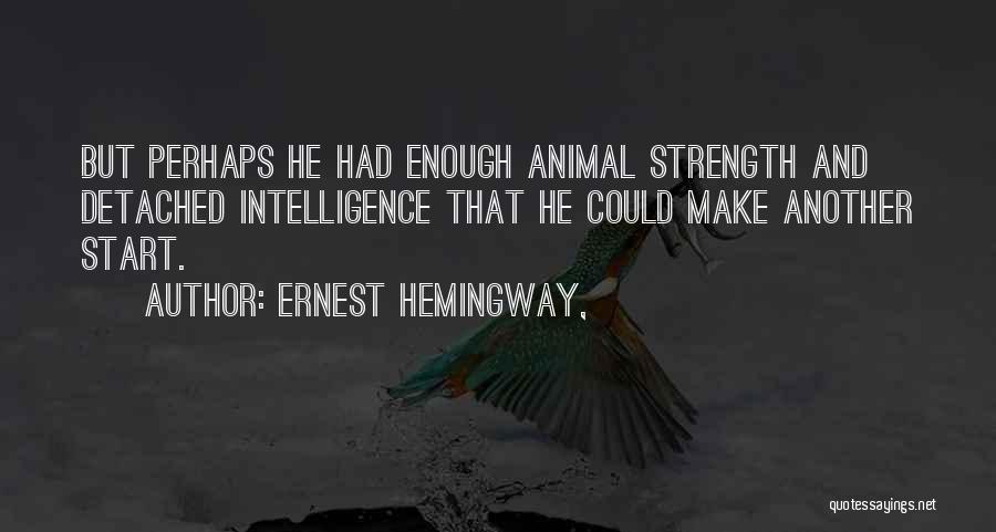 Ernest Hemingway, Quotes: But Perhaps He Had Enough Animal Strength And Detached Intelligence That He Could Make Another Start.