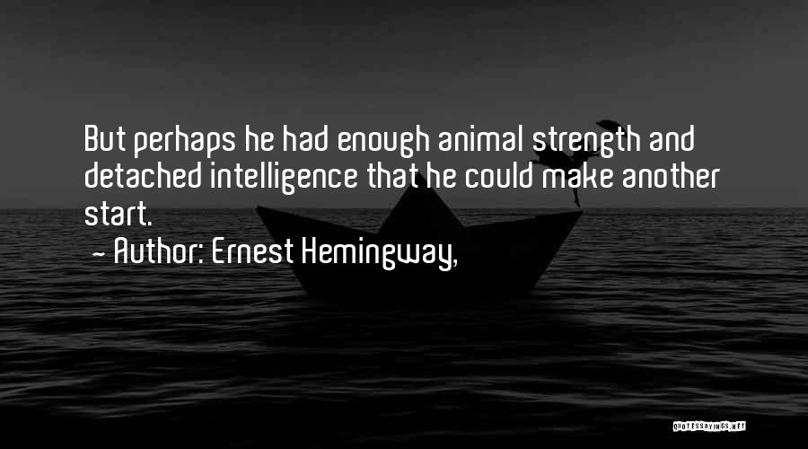 Ernest Hemingway, Quotes: But Perhaps He Had Enough Animal Strength And Detached Intelligence That He Could Make Another Start.