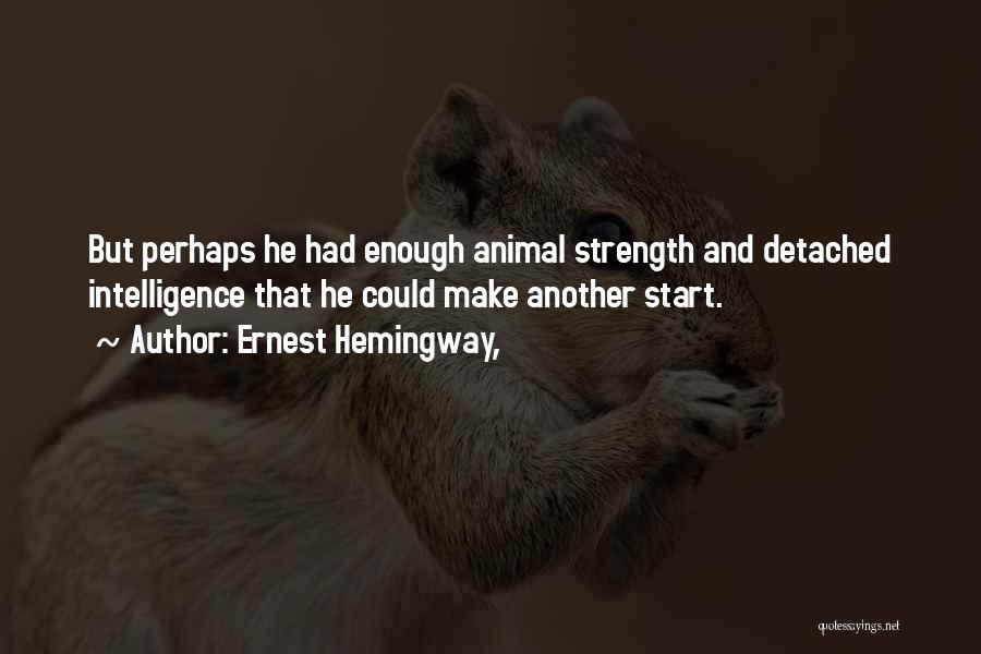 Ernest Hemingway, Quotes: But Perhaps He Had Enough Animal Strength And Detached Intelligence That He Could Make Another Start.