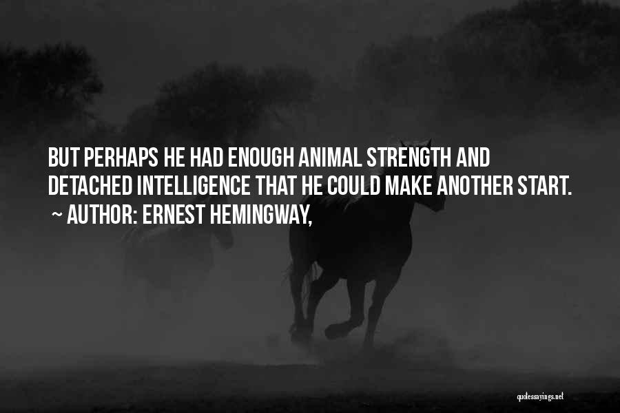 Ernest Hemingway, Quotes: But Perhaps He Had Enough Animal Strength And Detached Intelligence That He Could Make Another Start.