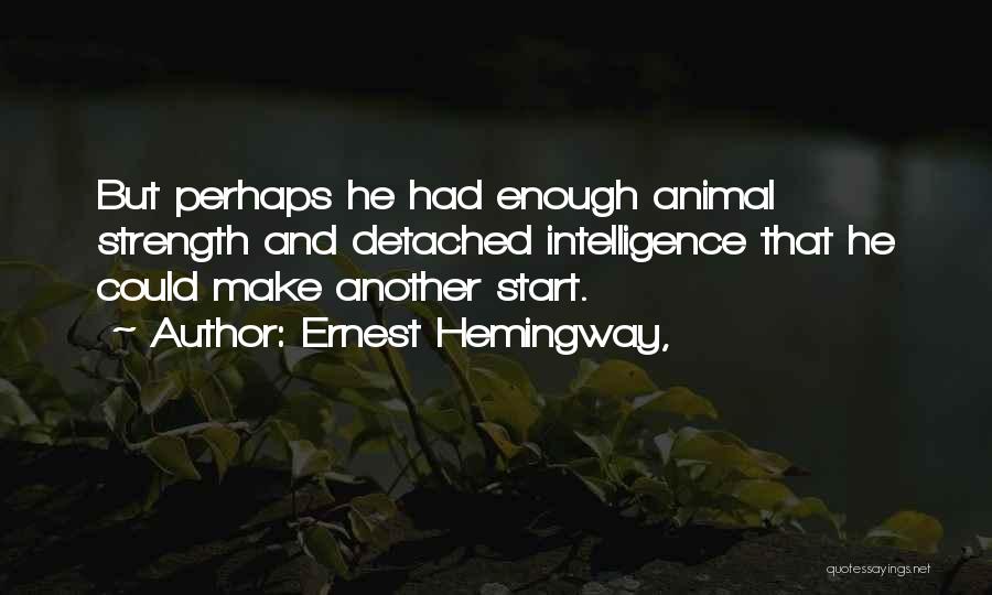 Ernest Hemingway, Quotes: But Perhaps He Had Enough Animal Strength And Detached Intelligence That He Could Make Another Start.