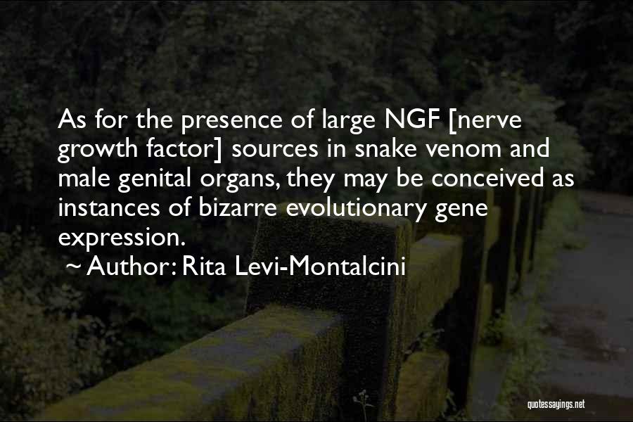 Rita Levi-Montalcini Quotes: As For The Presence Of Large Ngf [nerve Growth Factor] Sources In Snake Venom And Male Genital Organs, They May