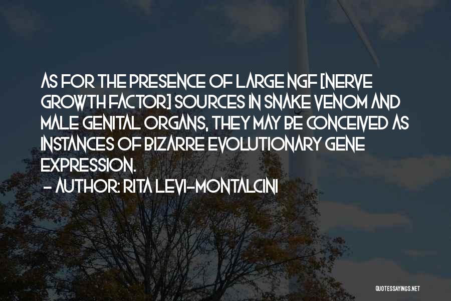 Rita Levi-Montalcini Quotes: As For The Presence Of Large Ngf [nerve Growth Factor] Sources In Snake Venom And Male Genital Organs, They May
