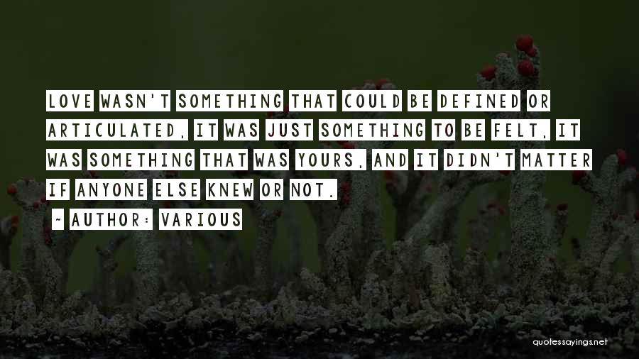Various Quotes: Love Wasn't Something That Could Be Defined Or Articulated, It Was Just Something To Be Felt, It Was Something That