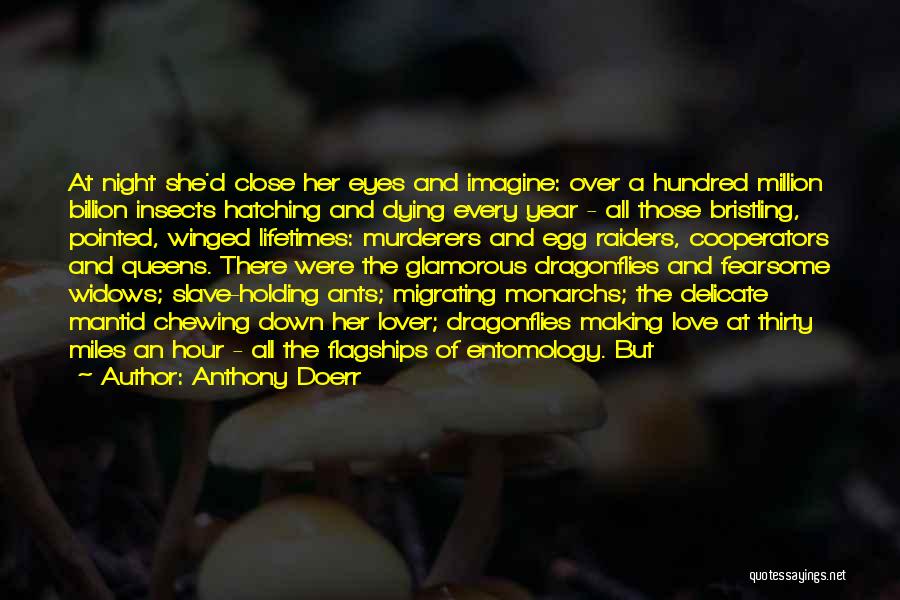 Anthony Doerr Quotes: At Night She'd Close Her Eyes And Imagine: Over A Hundred Million Billion Insects Hatching And Dying Every Year -