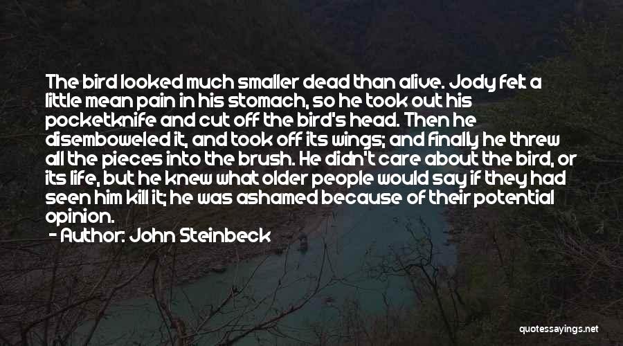 John Steinbeck Quotes: The Bird Looked Much Smaller Dead Than Alive. Jody Felt A Little Mean Pain In His Stomach, So He Took