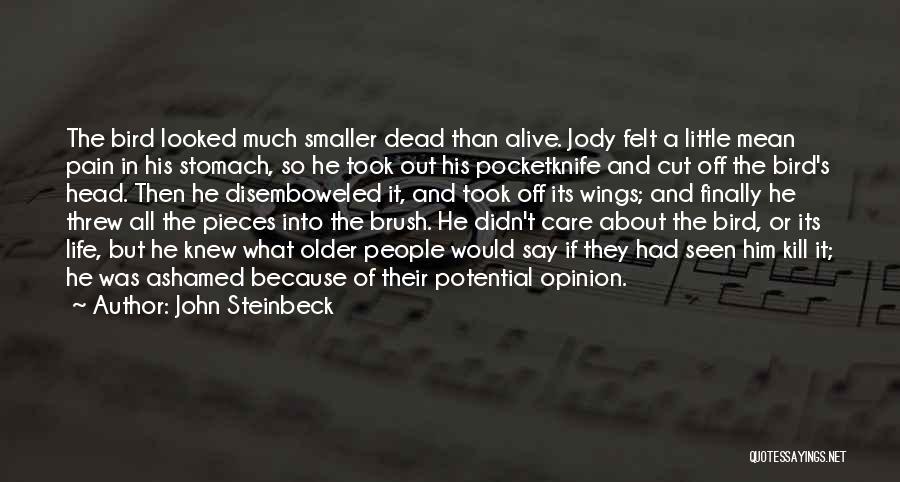 John Steinbeck Quotes: The Bird Looked Much Smaller Dead Than Alive. Jody Felt A Little Mean Pain In His Stomach, So He Took