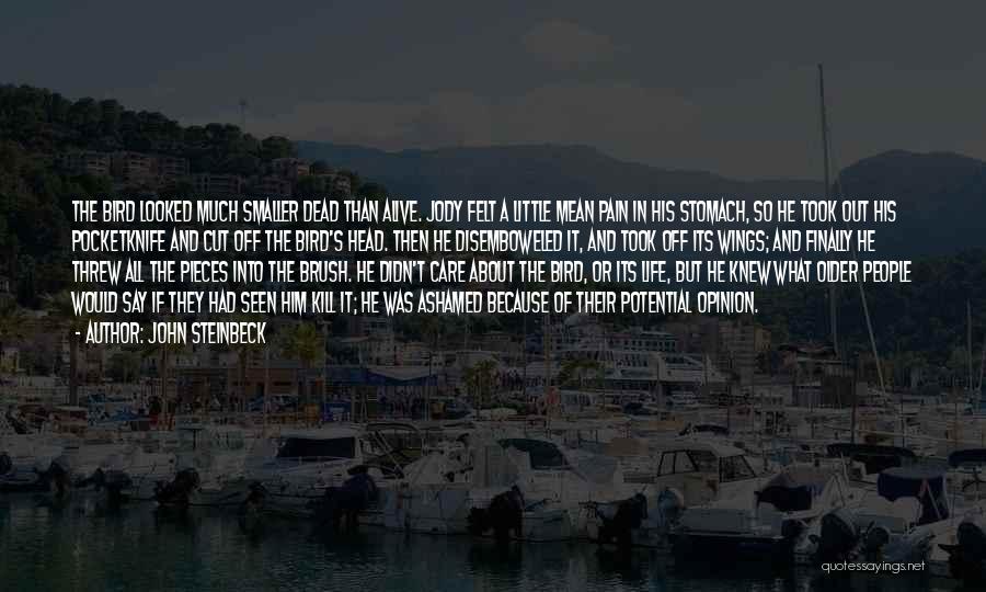 John Steinbeck Quotes: The Bird Looked Much Smaller Dead Than Alive. Jody Felt A Little Mean Pain In His Stomach, So He Took