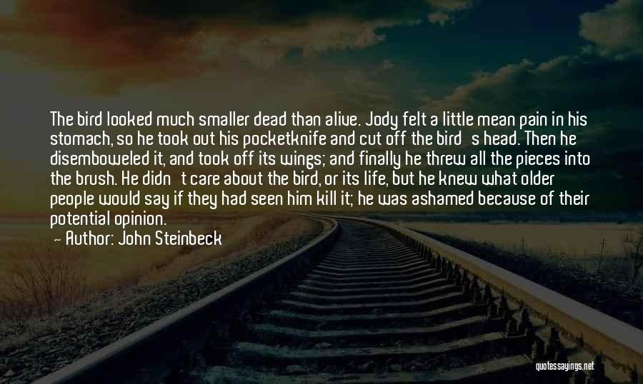 John Steinbeck Quotes: The Bird Looked Much Smaller Dead Than Alive. Jody Felt A Little Mean Pain In His Stomach, So He Took