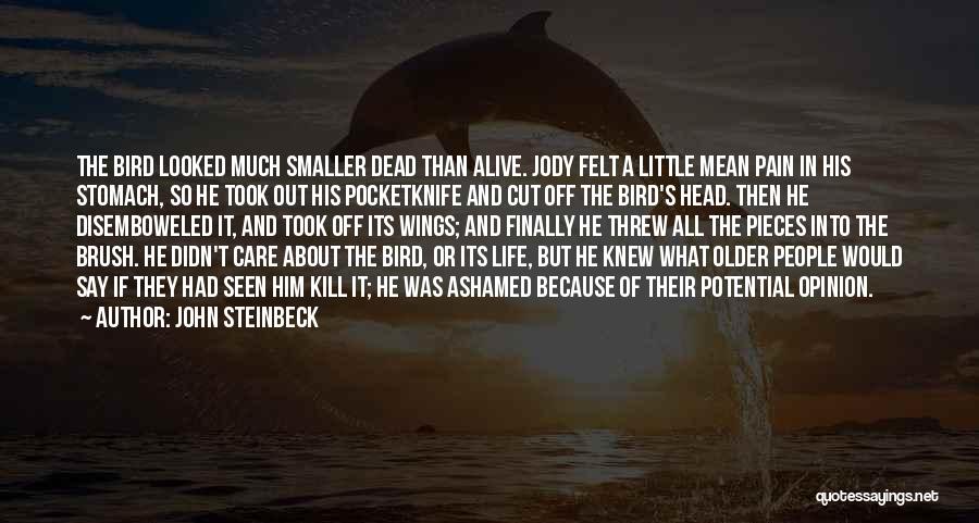 John Steinbeck Quotes: The Bird Looked Much Smaller Dead Than Alive. Jody Felt A Little Mean Pain In His Stomach, So He Took