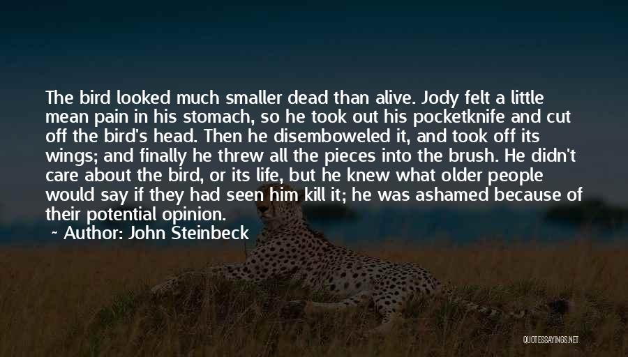 John Steinbeck Quotes: The Bird Looked Much Smaller Dead Than Alive. Jody Felt A Little Mean Pain In His Stomach, So He Took