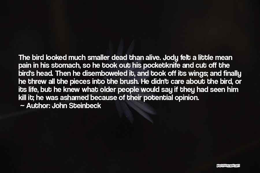 John Steinbeck Quotes: The Bird Looked Much Smaller Dead Than Alive. Jody Felt A Little Mean Pain In His Stomach, So He Took