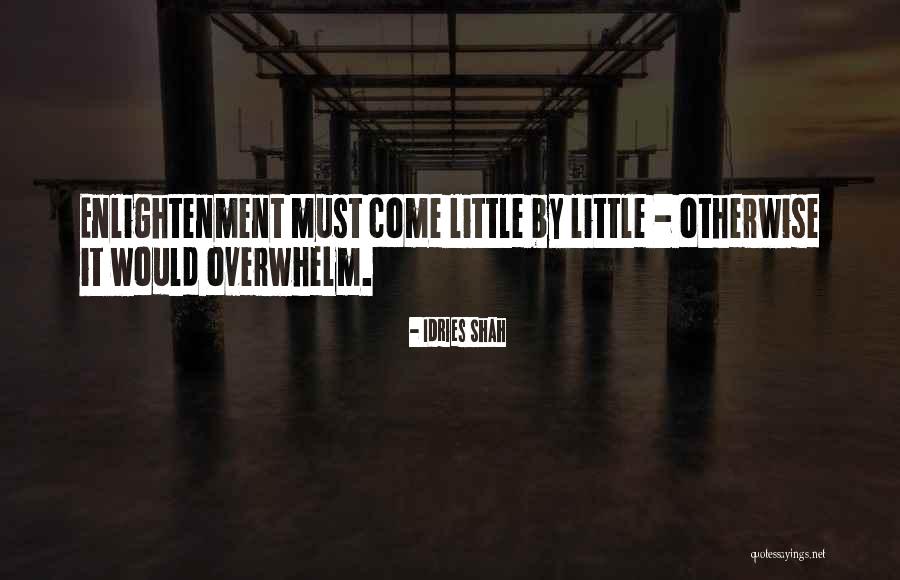 517 Area Quotes By Idries Shah 517 Area Quotes By Idries Shah