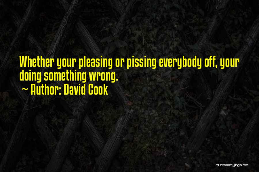 David Cook Quotes: Whether Your Pleasing Or Pissing Everybody Off, Your Doing Something Wrong.