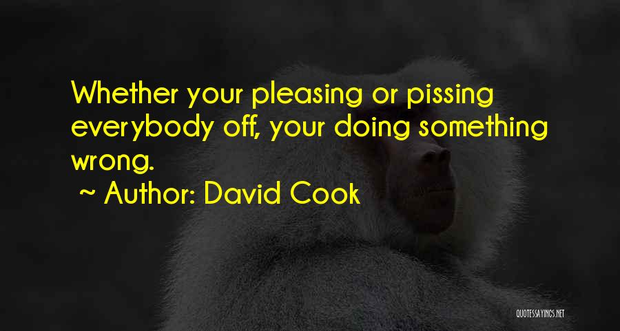 David Cook Quotes: Whether Your Pleasing Or Pissing Everybody Off, Your Doing Something Wrong.