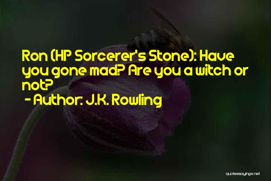 J.K. Rowling Quotes: Ron (hp Sorcerer's Stone): Have You Gone Mad? Are You A Witch Or Not?