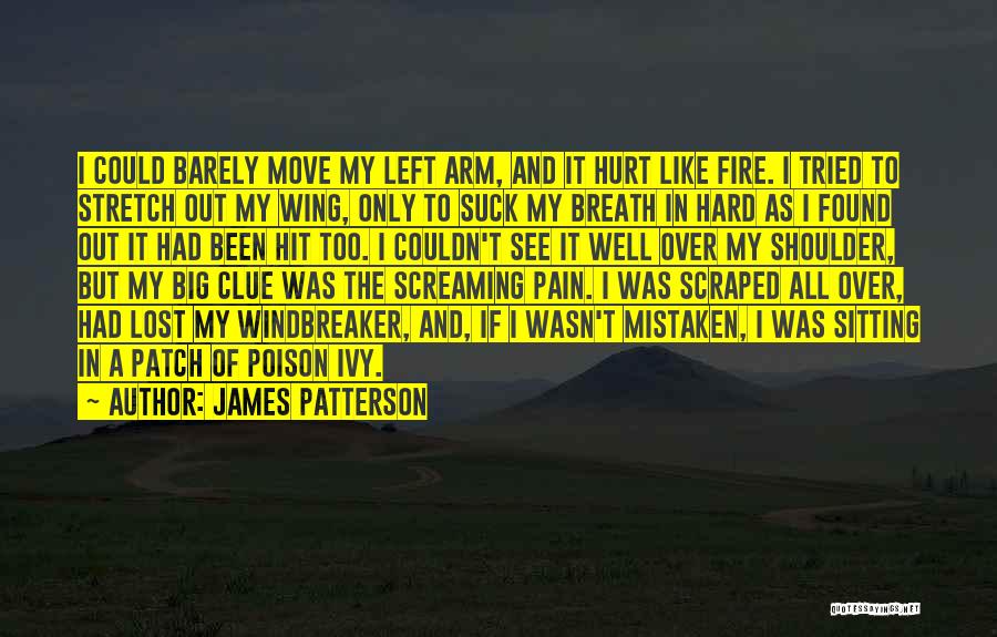 James Patterson Quotes: I Could Barely Move My Left Arm, And It Hurt Like Fire. I Tried To Stretch Out My Wing, Only