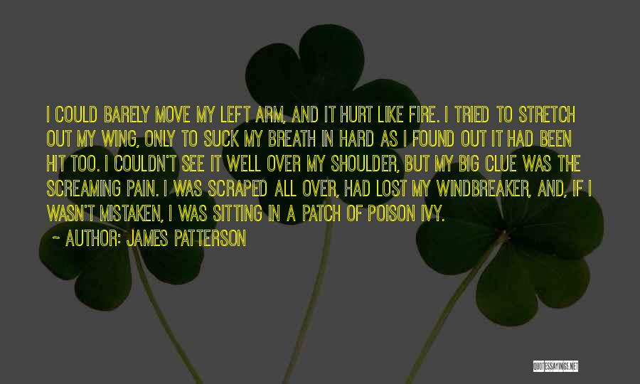 James Patterson Quotes: I Could Barely Move My Left Arm, And It Hurt Like Fire. I Tried To Stretch Out My Wing, Only