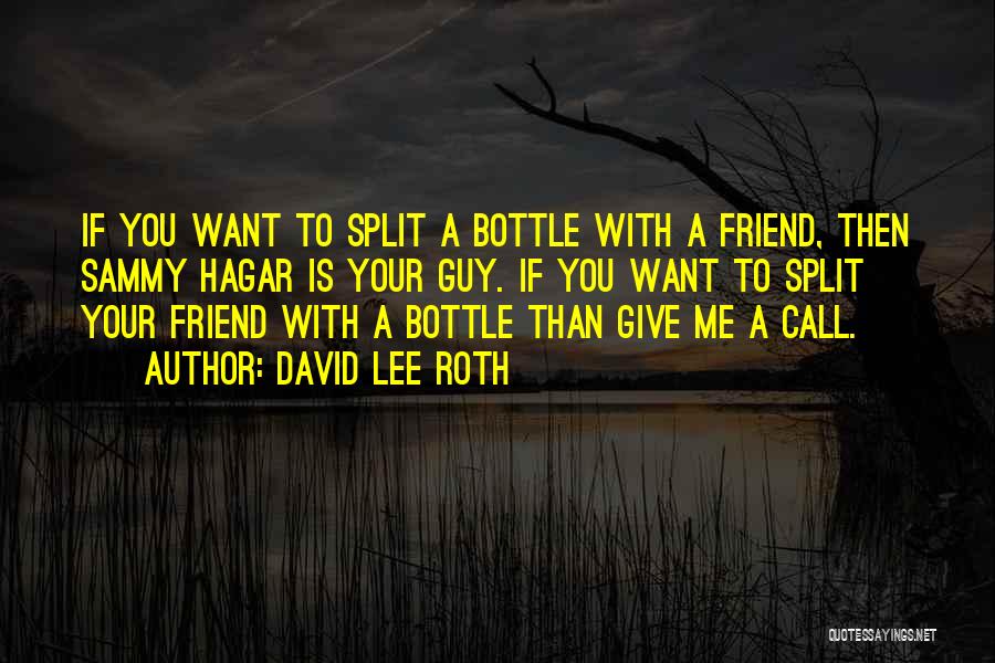 David Lee Roth Quotes: If You Want To Split A Bottle With A Friend, Then Sammy Hagar Is Your Guy. If You Want To