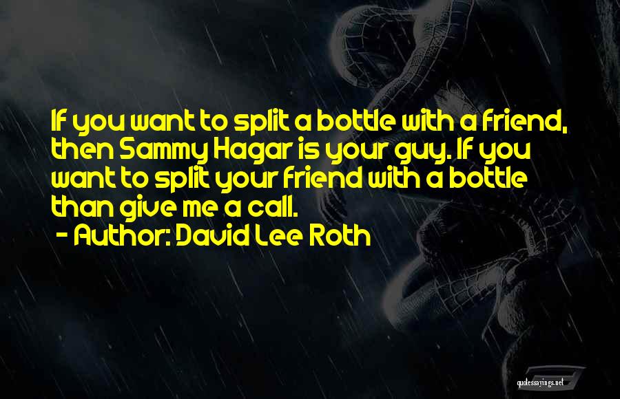 David Lee Roth Quotes: If You Want To Split A Bottle With A Friend, Then Sammy Hagar Is Your Guy. If You Want To