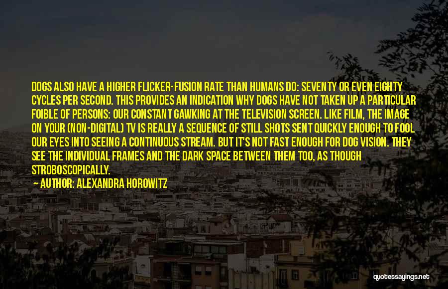 Alexandra Horowitz Quotes: Dogs Also Have A Higher Flicker-fusion Rate Than Humans Do: Seventy Or Even Eighty Cycles Per Second. This Provides An