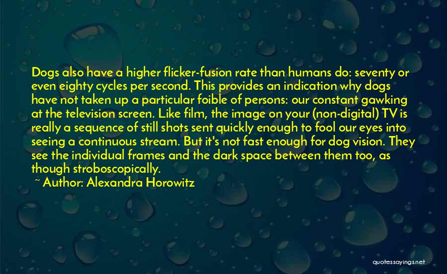 Alexandra Horowitz Quotes: Dogs Also Have A Higher Flicker-fusion Rate Than Humans Do: Seventy Or Even Eighty Cycles Per Second. This Provides An