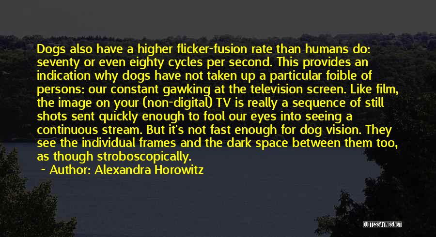 Alexandra Horowitz Quotes: Dogs Also Have A Higher Flicker-fusion Rate Than Humans Do: Seventy Or Even Eighty Cycles Per Second. This Provides An