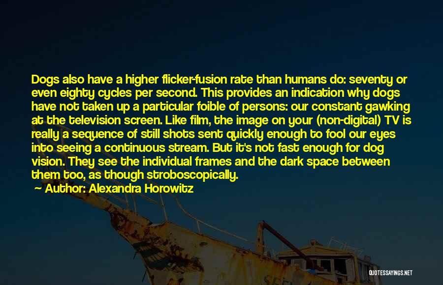 Alexandra Horowitz Quotes: Dogs Also Have A Higher Flicker-fusion Rate Than Humans Do: Seventy Or Even Eighty Cycles Per Second. This Provides An