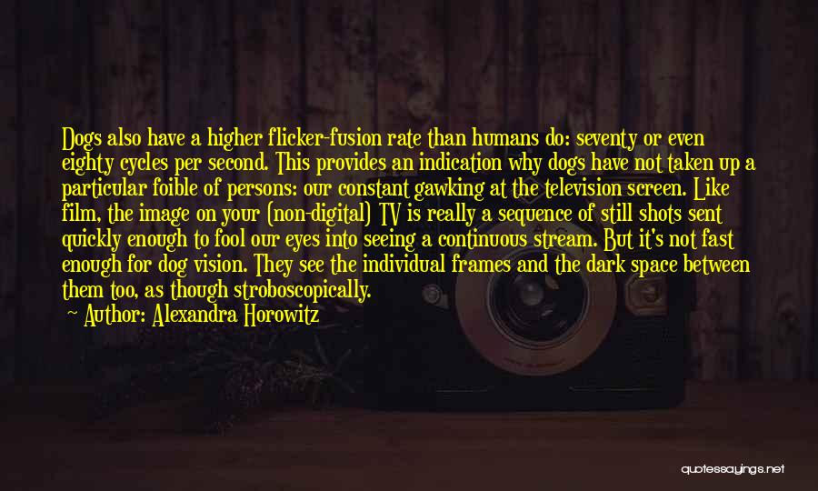 Alexandra Horowitz Quotes: Dogs Also Have A Higher Flicker-fusion Rate Than Humans Do: Seventy Or Even Eighty Cycles Per Second. This Provides An